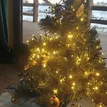 Dom wakacyjny Raj Nad Narwią Zatory