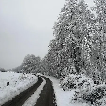 Raj Nad Narwia Nyaraló Zatory