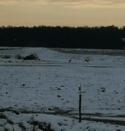 Hébergement de vacances Raj Nad Narwia *