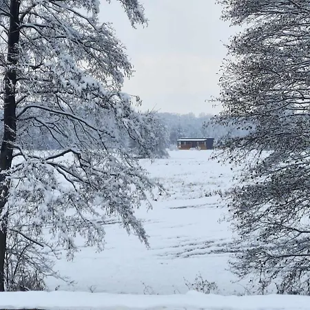 Raj Nad Narwia * Zatory