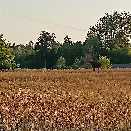 Raj Nad Narwią Dom wakacyjny Zatory
