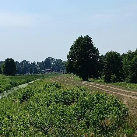 Raj Nad Narwią *