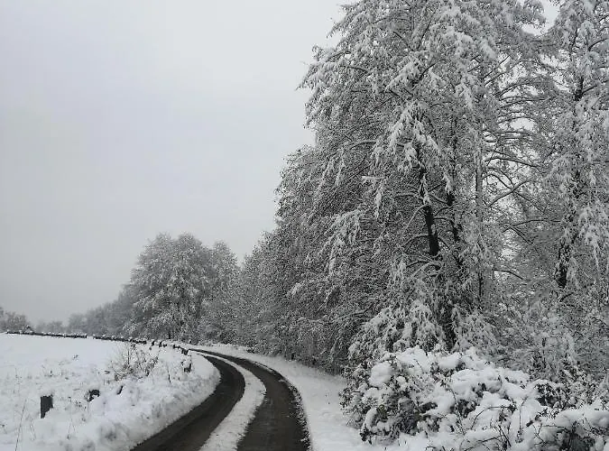 Raj Nad Narwia Holiday home Zatory